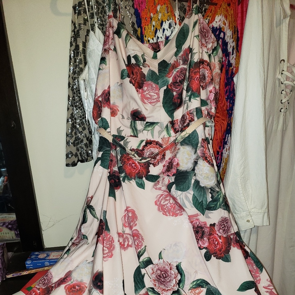 City Chic fit and flare dress